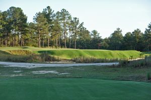 Tree Farm 17th